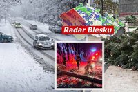 Kalamita v Česku: Peklo na D1, zlomený strom ve Varech i další sněžení. Sledujte radar Blesku