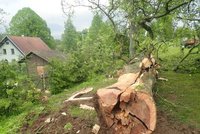 Průtrž mračen na severu Moravy: Prudké deště nahrnuly bahno do ulic, vichr strhával stromy