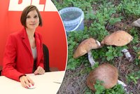 Meteoroložka Dagmar Honsová: Počasí je ideální pro houby!