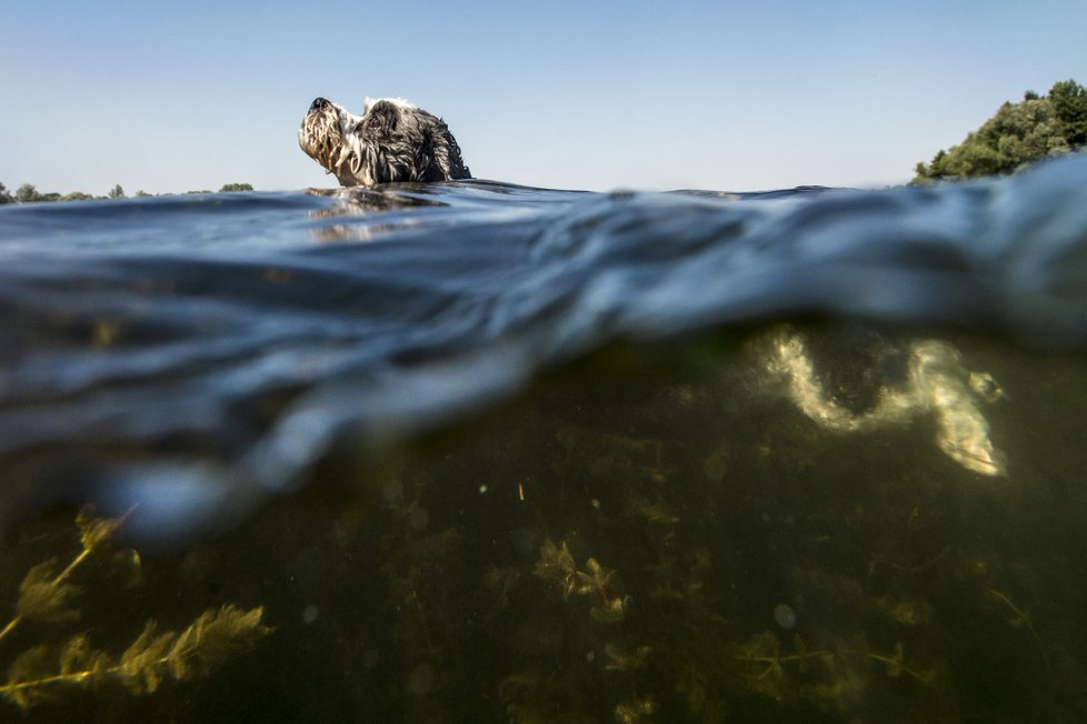 Přívalové deště a vedra: Takový je květen v Česku