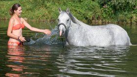 Tabulku nejvyšších teplot pro 3. srpen přepisovali pouze na třech stanicích: Čáslav-Nové město (dnes 35,3 stupně), Vavřinec-Žíšov na Kutnohorsku (34,3) a Přibyslav (33,4 stupně).