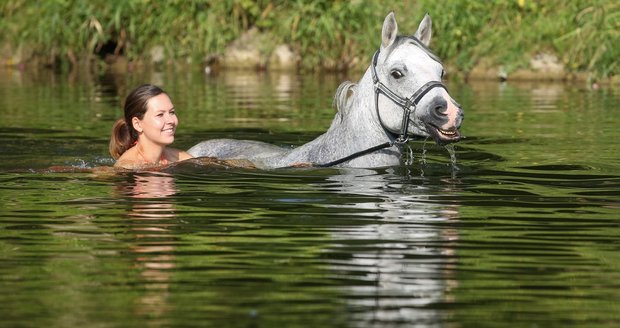 V létě ochlazení ve vodě uvítají lidé i zvířata