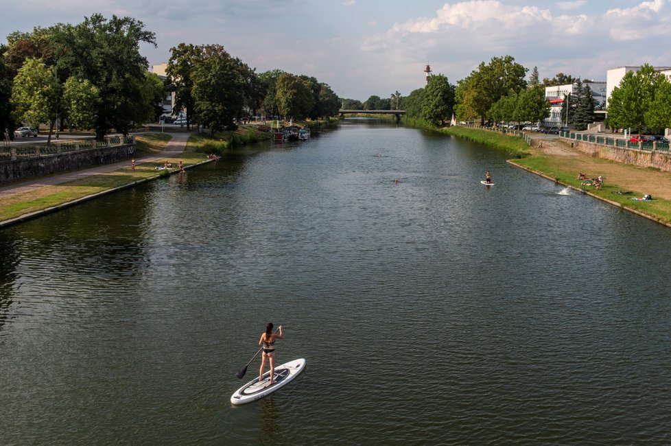 Vysoké teploty v těchto dnech lákají k osvěžení. Snímek z 3. srpna 2018 je z centra Hradce Králové, kde lidé plují po Labi na paddleboardech, koupou se v řece nebo se opalují na náplavkách.