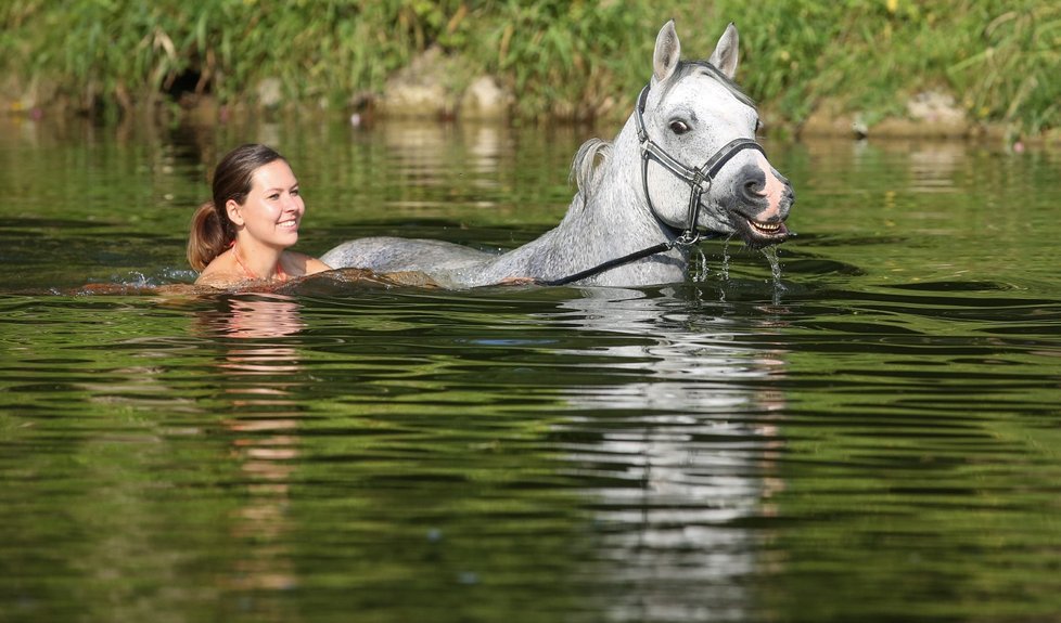 V létě ochlazení ve vodě uvítají lidé i zvířata.