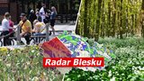 Až 22 °C o prodlouženém víkendu, Česko ale zkropí i déšť. Sledujte radar Blesku a pozor na klíšťata