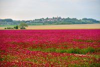 Předpověď počasí na víkend: Bude vydatně pršet