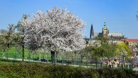 Do Česka se vrací mráz. Dvacítky přijdou zase na Velikonoce