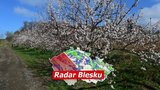 Jarní mrazy v Česku: Bylo i -9 °C, sledujte radar Blesku. Nová výstraha a ovocné stromy v ohrožení!