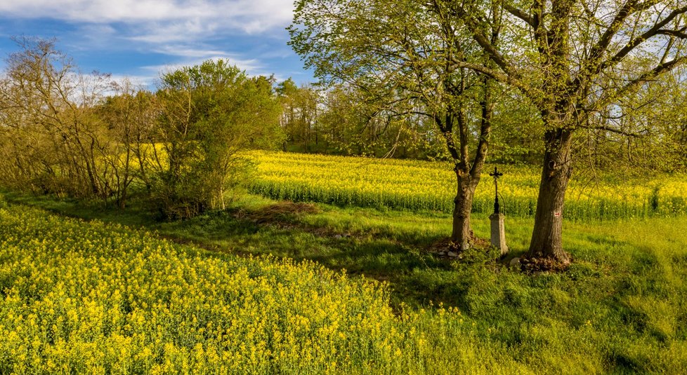 V Česku se střídá teplé jarní počasí s přízemními mrazíky