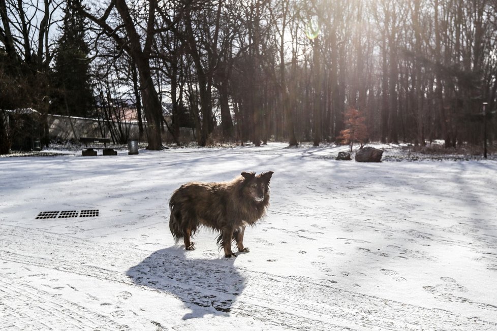 Počasí v Praze 20. března 2021