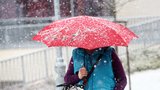 Sníh zamával s Českem: Mráz hrozí úrodě, letní pneumatiky zase řidičům