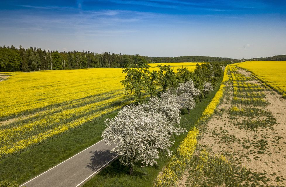 O víkendu bude spíše polojasno až oblačno s teplotami kolem 20 stupňů Celsia