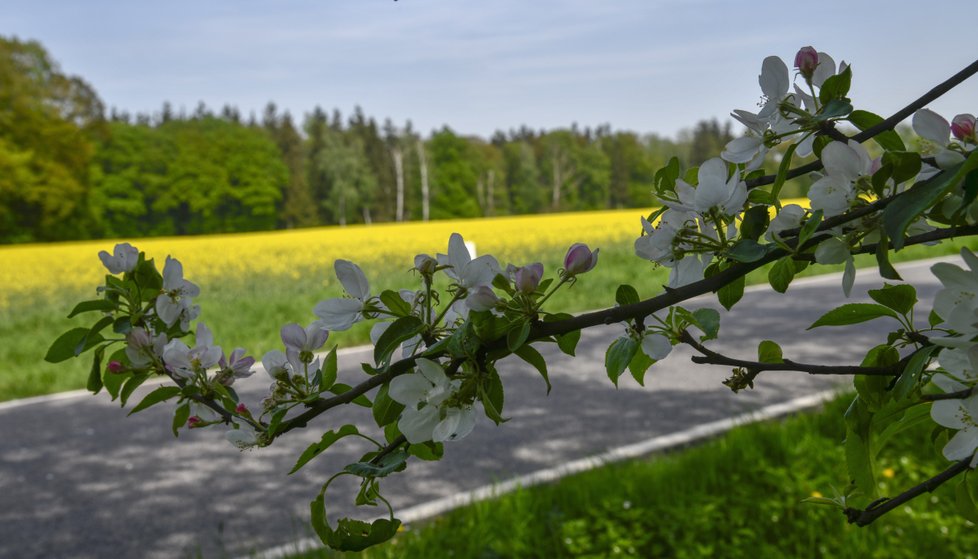 Letošní duben byl nadprůměrně teplý v celém Česku. Rekordy padaly skoro každý týden