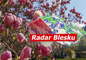 Do Česka se konečně na chvíli podívá pravé jarní počasí.