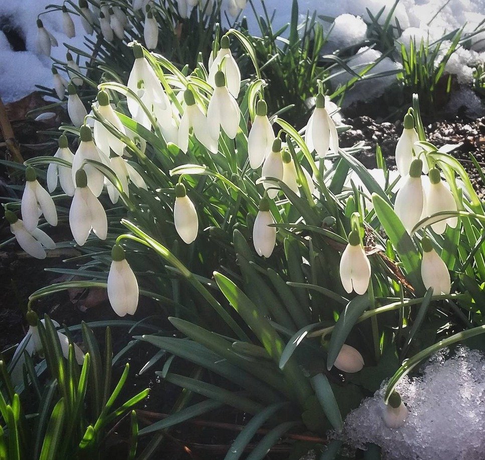 Takhle přicházející jaro zachytili Češi na Instagramu.