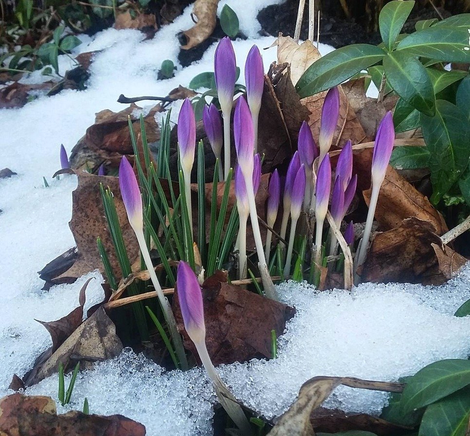 Takhle přicházející jaro zachytili Češi na instagramu.