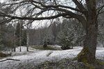 Na začátku května se oteplí na 15 °C a teploty se budou i v dalších dvou týdnech mírně zvyšovat. (Ilustrační foto)