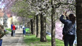 Vytáhněte jarní kabáty, do Prahy míří jaro: Jaké teploty nás čekají?