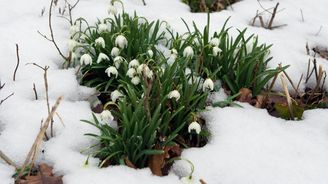 Meteorologové hlásí oteplování. Duben bude deštivý