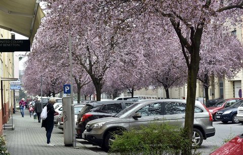 Na čarodějnice bude pěkně. K prvomájovým polibkům ale přibalte deštník