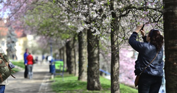 V Česku padly stoleté teplotní rekordy. Bylo téměř 26 stupňů