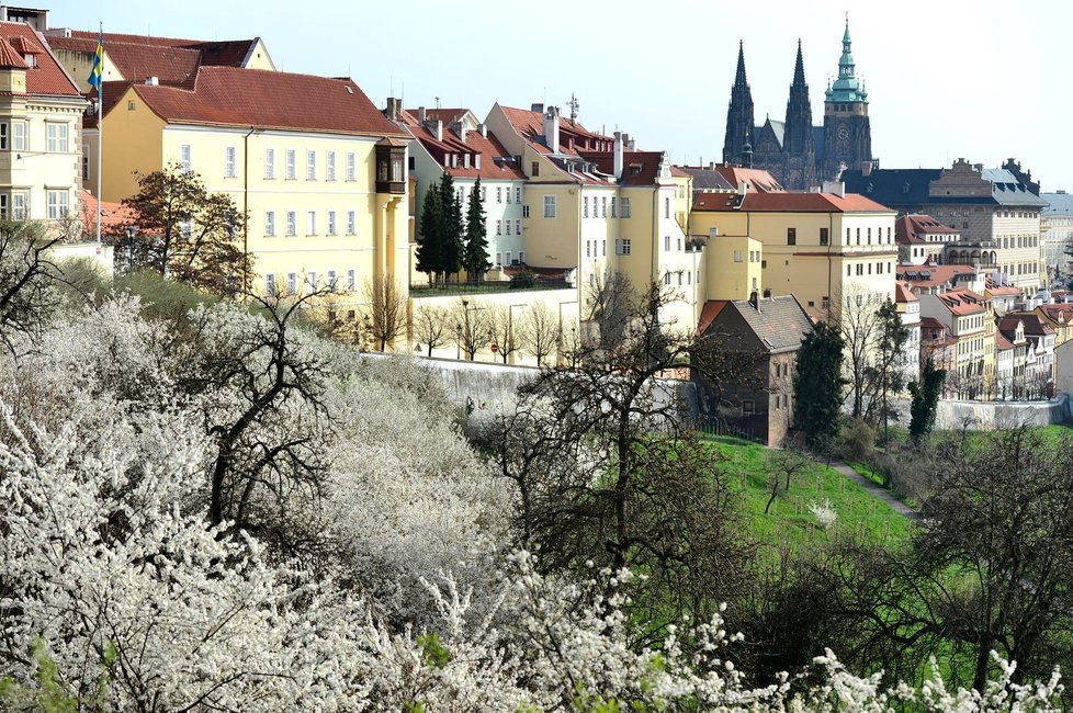 V Česku dnes padly stoleté teplotní rekordy.