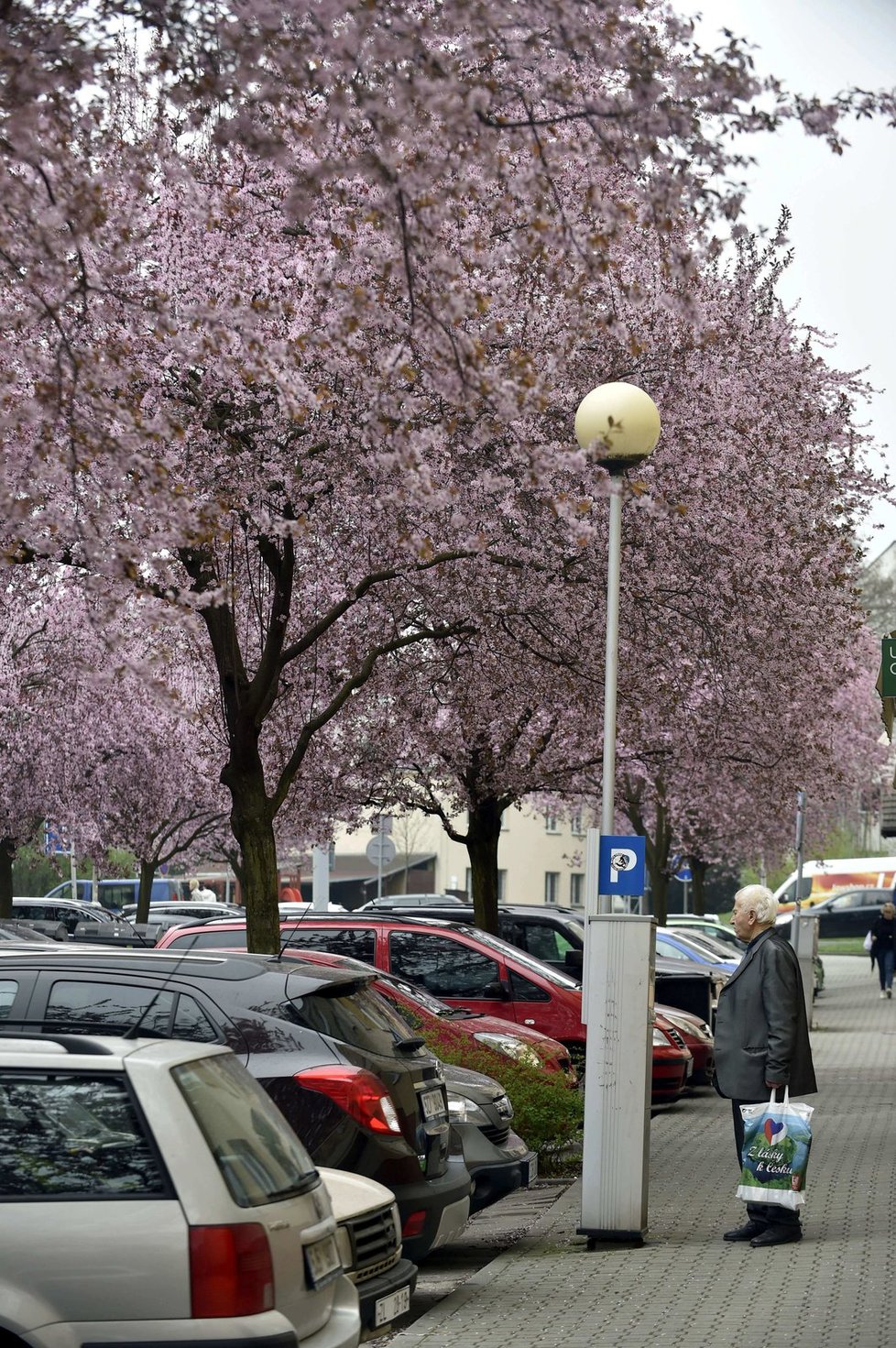 Na začátku května se oteplí na 15 °C a teploty se budou i v dalších dvou týdnech mírně zvyšovat. (Ilustrační foto)