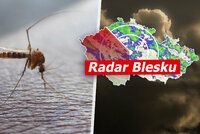 Pozor! Aktivita komárů v Česku je mimořádně vysoká. A hrozí bouřky, sledujte radar Blesku