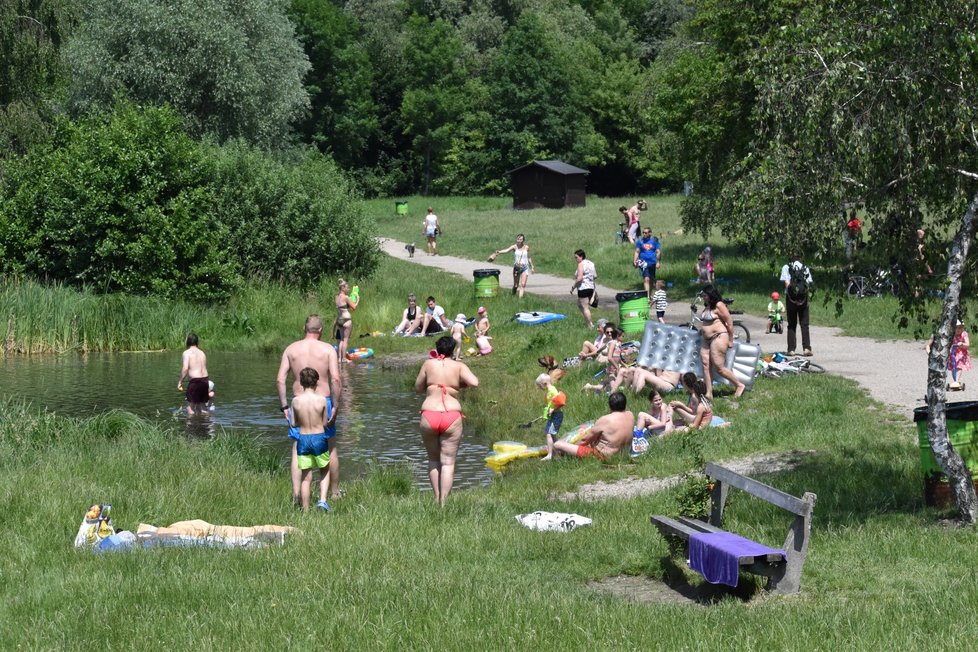 Prvními milovníky slunění a koupání ožilo první červnovou sobotu i přírodní koupaliště Poděbrady u Olomouce. (13. 6. 2020)