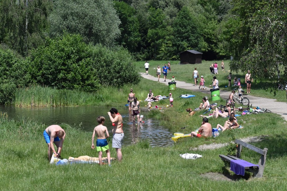 Prvními milovníky slunění a koupání ožilo první červnovou sobotu i přírodní koupaliště Poděbrady u Olomouce (13. 6. 2020).