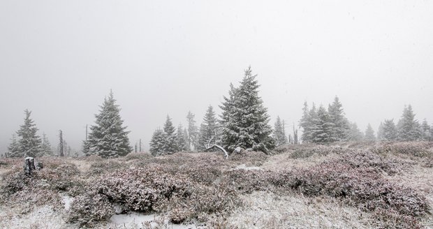 V Krkonoších napadl začátkem října první sníh (3. 10. 2019)