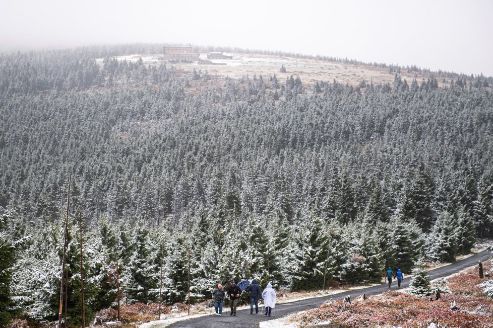 V Krkonoších napadl začátkem října první sníh (3. 10. 2019)