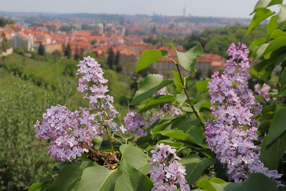 Počasí 9. 5. 2022