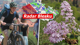 Česko má za sebou první letní den, ve středu bude až 29 °C! Kdy přijdou bouřky? Sledujte radar Blesku