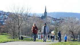 Po týdnech mrazů a sněžení přišlo v závěru ledna do Česka teplo.