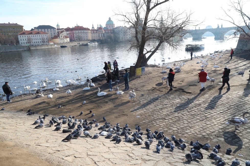 Počasí v Česku zimu nepřipomíná ani trochu.