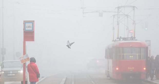Mlha v Praze (30.1.2024)