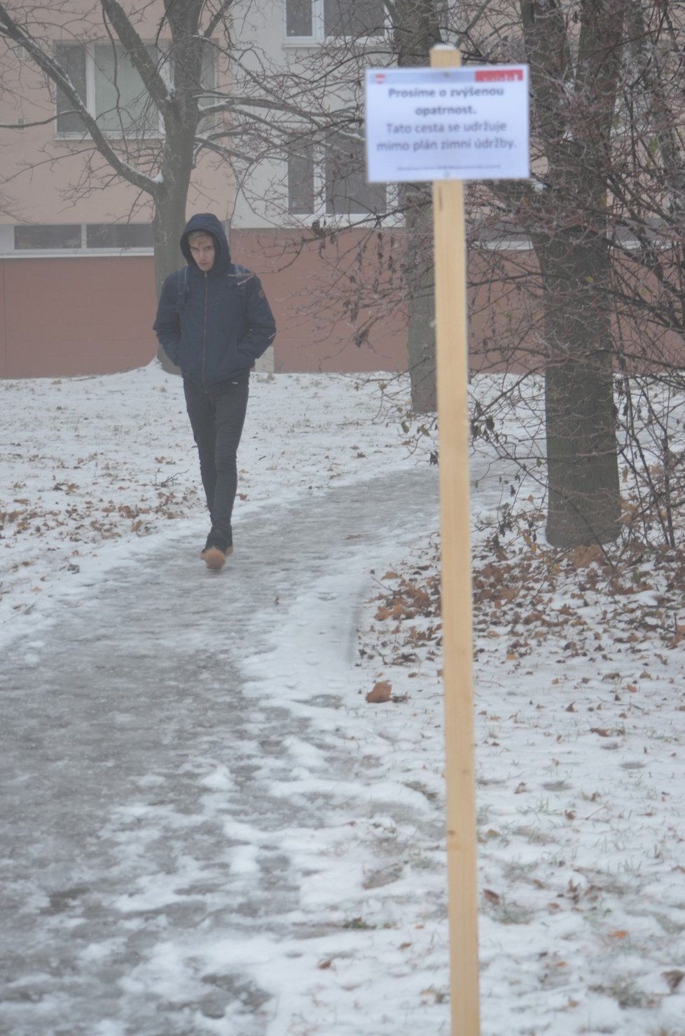 Ledovka nedovolila autům v Brně spolehlivě manévrovat.