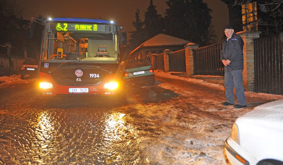 Ledovka v Česku