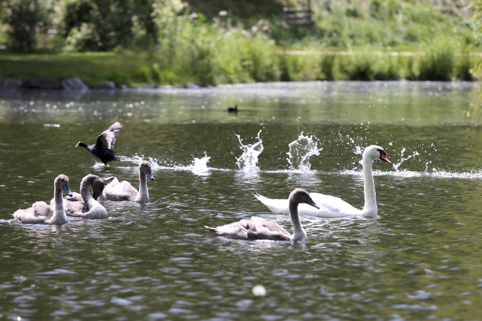 V pondělí bude dusno, teploty vyšplhají až na 29 °C. Zabouří jen ojediněle