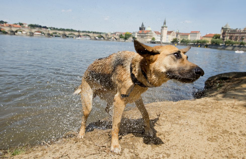 Vedro zasáhlo Česko i okolní státy.