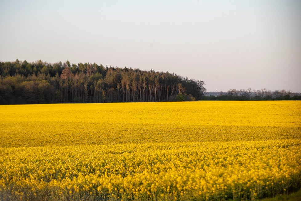 Letní počasí v Česku: Ke konci dubna hlásí stanice 26 stupňů. (28.4.2020)