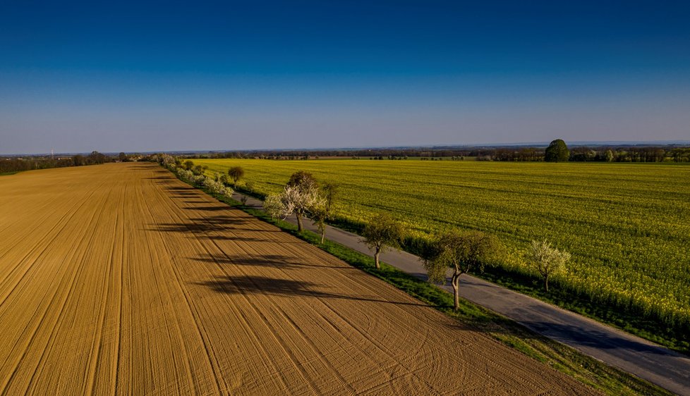 Letní počasí v Česku: Ke konci dubna hlásí stanice 26 stupňů (28.4.2020).