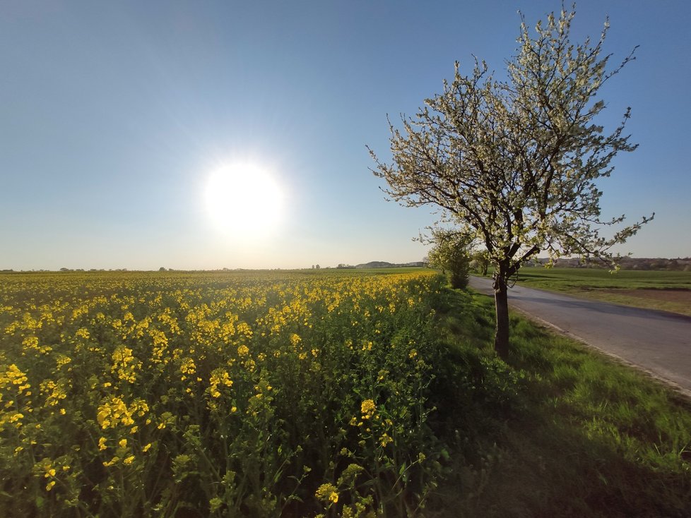 Letní počasí v Česku: Ke konci dubna hlásí stanice 26 stupňů. (28.4.2020)