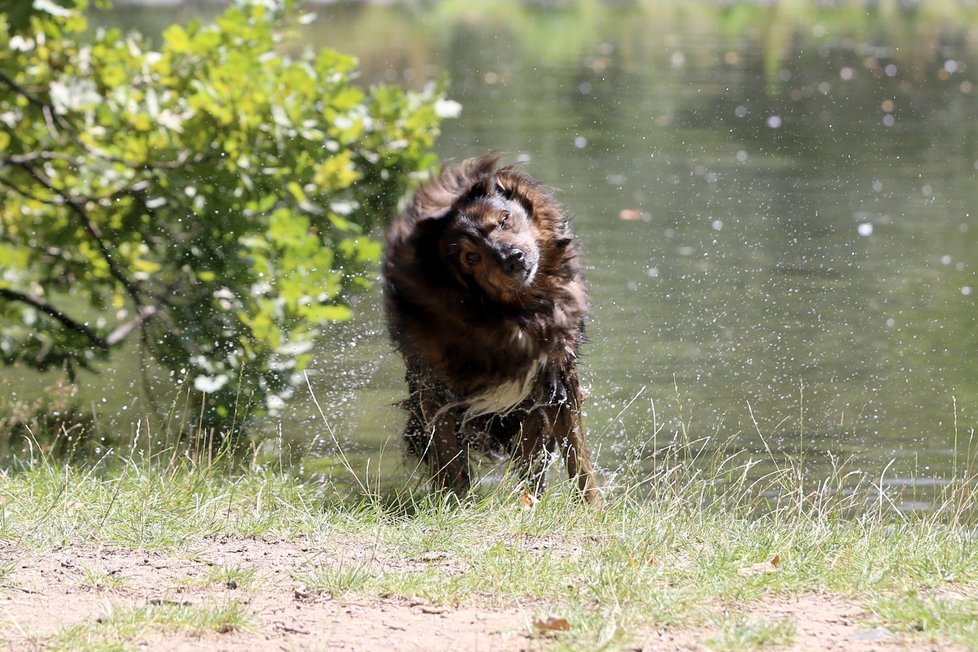 Teplota bude v pondělí kulminovat kolem 15. hodiny na 30 až 34 °C. Ale ještě ve 22 hodin bude místy i přes 30 °C.