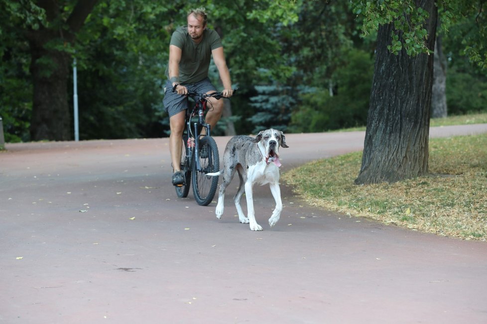 I přes to, že teploty budou stoupat až k 33 °C, teplotní rekordy padat nebudou, ty jsou pro toto období na hodnotách přes 35 °C.