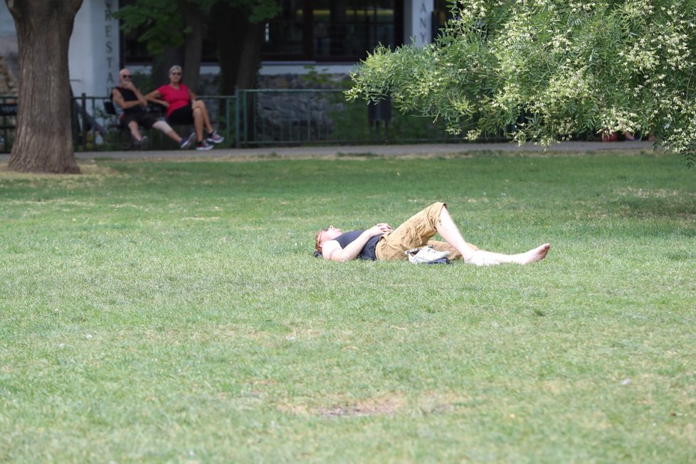 V pátek bude polojasno, během dne až oblačno a odpoledne místy přeháňky nebo bouřky. Denní teploty vystoupí na 27 až 31 °C, v Čechách ojediněle bude až 33 °C.