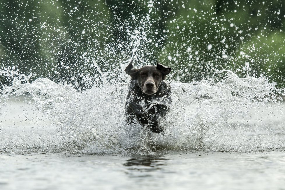 Ve čtvrtek nás zahřeje příjemných 26 °C, deštníky nechte doma