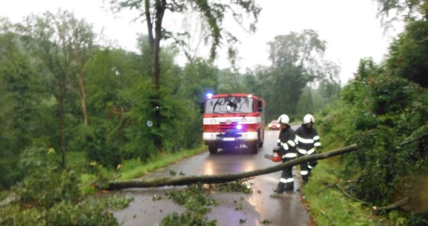 Plné ruce práce kvůli lijákům měli i hasiči v Královéhradeckém kraji (29. 6. 2020)