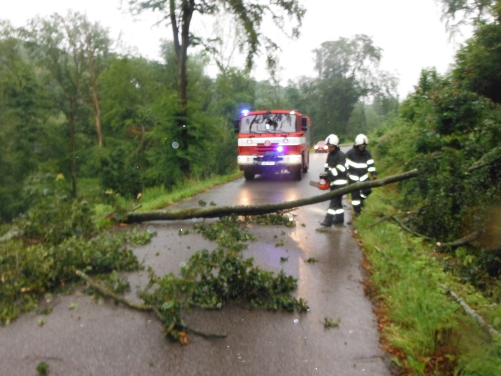 Plné ruce práce kvůli lijákům měli i hasiči v Královéhradeckém kraji (29. 6. 2020)